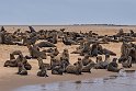 130 Walvisbaai, Namibie